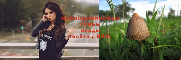 марки lsd Каменногорск