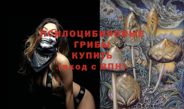 марки lsd Каменногорск