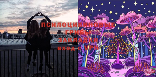мяу мяу мука Каменск-Шахтинский